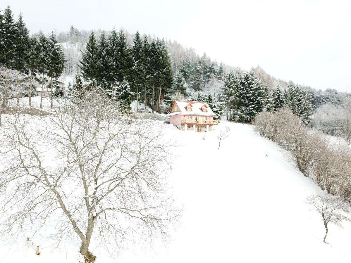 Gasthaus Kopanicky Dvor Hodruša Exterior foto
