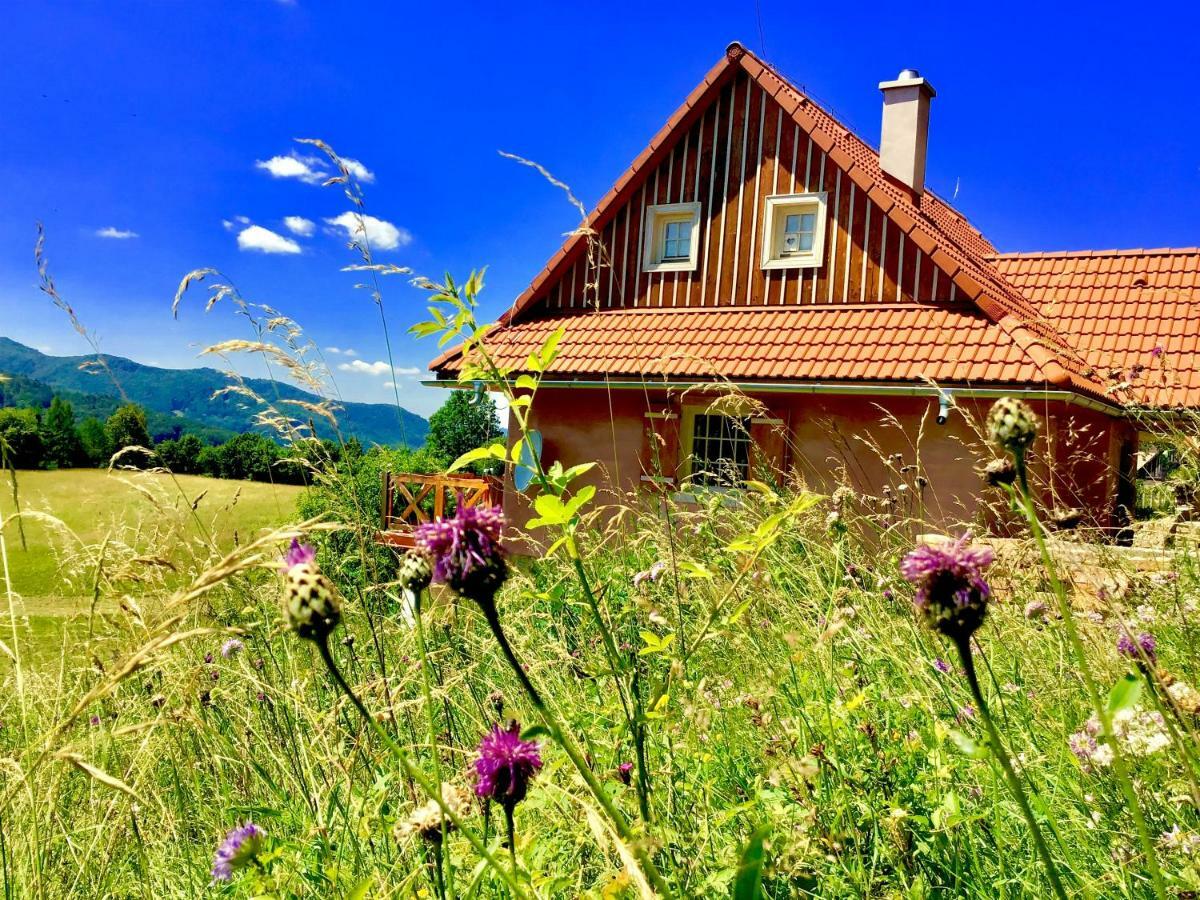 Gasthaus Kopanicky Dvor Hodruša Exterior foto